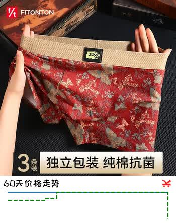 FitonTon男士高端内裤男生春夏纯棉短裤头抗菌除湿吸汗透气大码平角裤衩