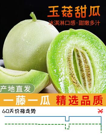 京鲜匠山东玉菇甜瓜精品商超 正宗冰淇淋蜜甜瓜 新鲜水果 产地源头直发 净4.5斤精品果【2-3个】