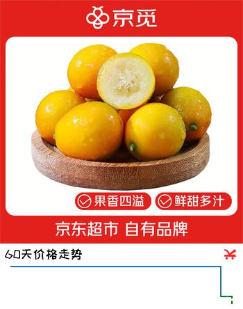 京觅 广西融安第三代脆蜜金柑 1.5斤单果13-18g 新鲜水果源头直发包邮