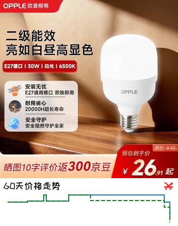 欧普照明（OPPLE）LED灯泡球泡灯E27螺口大功率厂房工矿灯6500K白炽灯30W白光地摊灯
