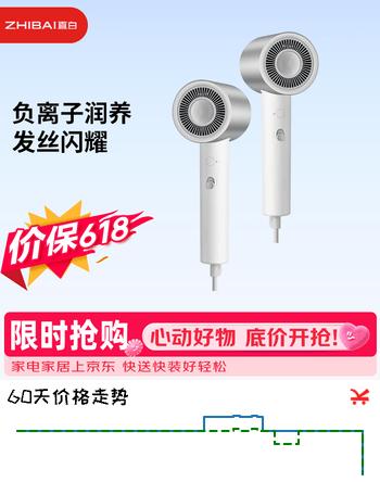 直白【价保618】负离子吹风机家用大功率速干护发电吹风筒大风力智能温控送女友 HL340pro银色