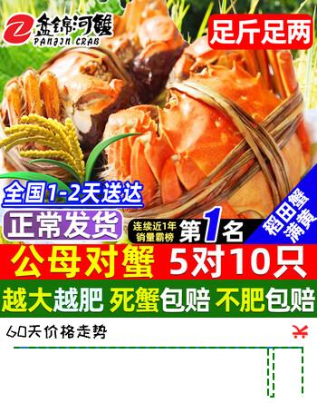 【活蟹】网兜蟹辽宁盘锦河蟹稻田河蟹礼盒螃蟹鲜活大闸蟹无绳净重 公母对蟹丨0.9-1.2两【5对】10只