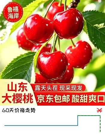 鲁禧海岸头茬露天山东大樱桃国产车厘子【产地直采现货】JD物流多地次日达 5斤(净重) 【头茬】单果22-26mm
