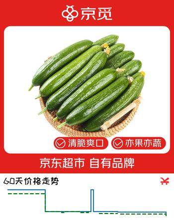 京觅山东荷兰水果黄瓜 净重3斤 单果约70g 健康轻食水果 源头直发