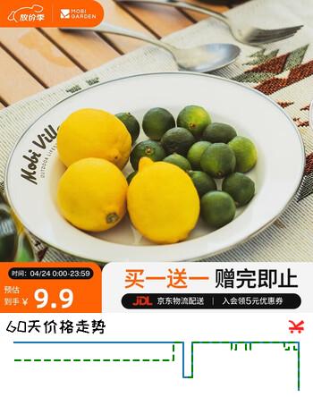 牧高笛（MOBIGARDEN）搪瓷盘 户外露营野餐复古釉面餐盘搪瓷盘L NX21666072 雪地白