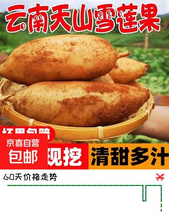 云南高山雪莲果新鲜来袭，清甜多汁脆爽可口新鲜水果 家庭装 带箱 9斤 130g+