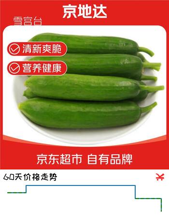 京地达山东荷兰水果黄瓜净重5斤单果50g+新鲜脆嫩源头直发包邮