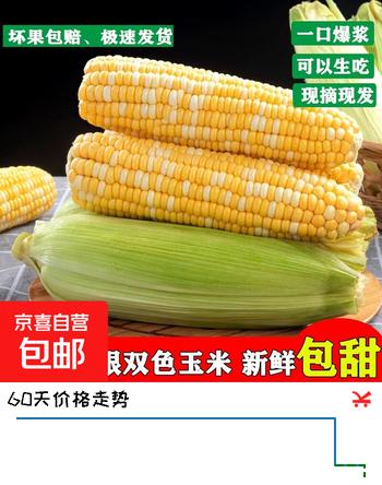 云南金银水果玉米甜玉米香甜爆汁现摘现发新鲜即食健康减脂早餐 净重5斤（单根300g+）