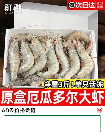 鲜驰 厄瓜多尔白虾 大虾鲜活速冻盐冻南美白虾基围虾海虾对虾海鲜批发 【15-18cm 原盒 特大虾】 3斤(净重) 