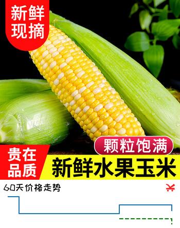中鲜生水果玉米新鲜甜玉米 云南新鲜玉米茄果瓜蔬菜生鲜蔬菜 净重5斤 【单根300g+】金银水果玉米品质装