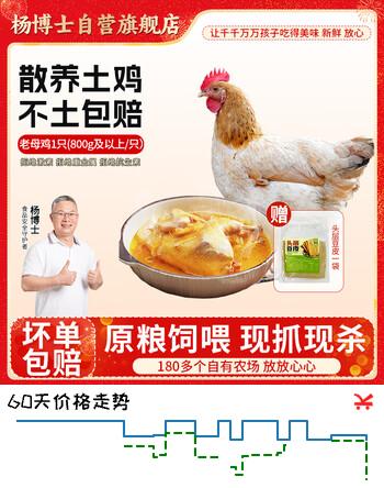 杨博士 皖南散养土鸡老母鸡 净重1.6斤及以上 含鸡胗鸡心鸡肉源头直发