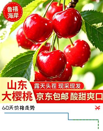 鲁禧海岸头茬露天山东大樱桃国产车厘子【产地直采现货】JD物流多地次日达 2斤(净重) 【头茬】单果22-26mm