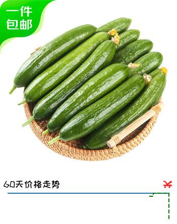 京鲜生 山东荷兰水果黄瓜 净4.5斤 单果70g+ 健康轻食早餐蔬菜 源头直发