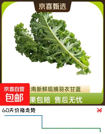 新鲜羽衣甘蓝生鲜蔬菜嫩叶甘兰芥蓝西餐沙拉榨汁减肥减脂直播间 羽衣甘蓝闺蜜2斤净重