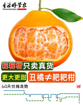 生活＆好管家 四川春见耙耙柑爆浆大果新鲜水果礼盒应季橘子现摘柑橘子桔子 4.5-5斤【超划算】净重4.5斤 果径80-85mm【大果】
