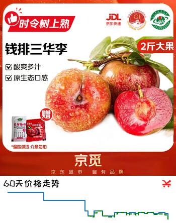 京觅广东茂名钱排三华李大果净重2斤单果40g+酸脆李子源头水果直发
