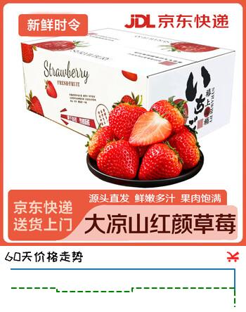 松筱草莓99红颜草莓新鲜水果四川大凉山草莓奶油草莓送礼品物礼盒年货 5斤装单果18-30g 净重4.5斤