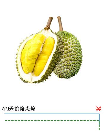 马猫 正宗马来西亚进口猫山王榴莲D197树熟液氮冷冻水果生鲜带壳榴莲 4.2-5斤（包五房 性价比高）