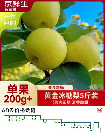 京鲜生安徽砀山黄金冰糖梨 净重5斤装 单果200g+ 生鲜水果源头直发