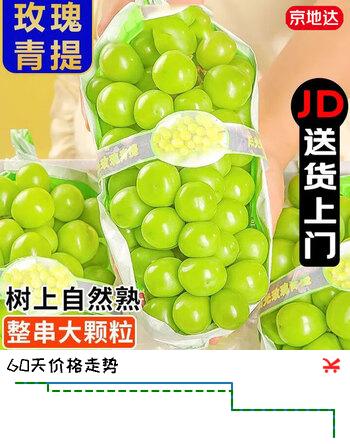 【5折】京地达西昌阳光玫瑰 净重3斤 单果10g  西昌葡萄新鲜水果源头直发包邮https://u.jd.com/Ugc8KY5----多半有货 | 下1件最优到手单价：49.8 -> 【29.6】