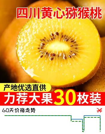 壹萌果蔬四川黄心猕猴桃新鲜奇异果蒲江金黄猕猴桃当季新鲜孕妇水果整箱发 24枚精选果【香甜爆汁】核心产区直发