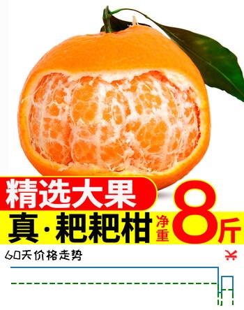 生活＆好管家 四川春见耙耙柑爆浆大果新鲜水果礼盒应季橘子现摘柑橘子桔子 8.5-9斤【性价比高-全家爽吃】净重8斤 果径90mm+【超大果】