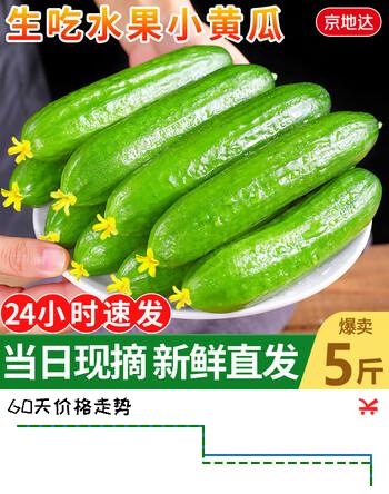 京地达黄瓜山东水果黄瓜小黄瓜净重5斤单果 80g+黄瓜新鲜源头直发包邮