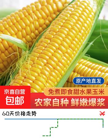 新鲜甜玉米水果玉米脆甜爆汁可生食新鲜采摘产地直发健康减脂早餐 带箱2斤（单根300g+）