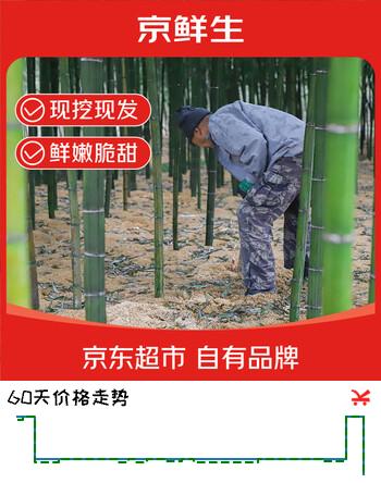 京鲜生新鲜临安雷笋  大笋3斤（6-9根） 肉白嫩脆鲜中带甜 源头直发