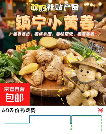 产地直发贵州镇宁新鲜现挖小黄姜生姜黄姜调味料新鲜蔬菜生鲜 2斤装 1000g 净重