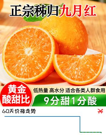 九月红橙秭归脐橙现摘新鲜时令水果柑橘桔子果冻橙子甜嫩水果礼盒 净重5斤（果径80mm+）