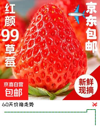 【陆运礼箱】正宗大凉山红颜奶油草莓整箱99牛奶冬草莓草莓川果2 整箱1斤两盒装10g+中小果