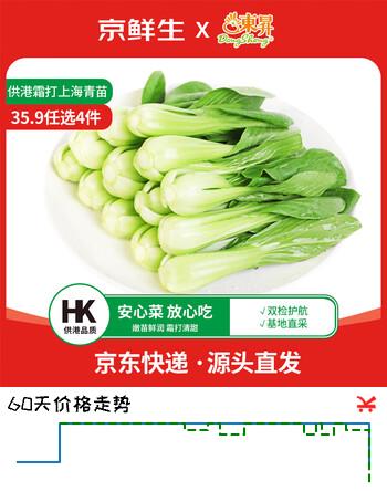 京鲜生(供港)上海青苗250g 鲜嫩清甜炒菜新鲜采摘 广东源头直发