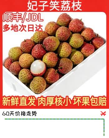 硕醴纪海南妃子笑荔枝 新鲜水果整箱 5斤装精选单果16-22g净重4.5-5斤