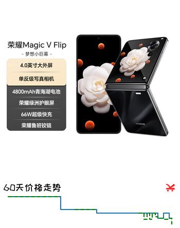 荣耀Magic V Flip 新款小折叠屏 4.0英寸大外屏 单反级写真相机 12+1TB 鸢尾黑 国家补贴 5G AI手机
