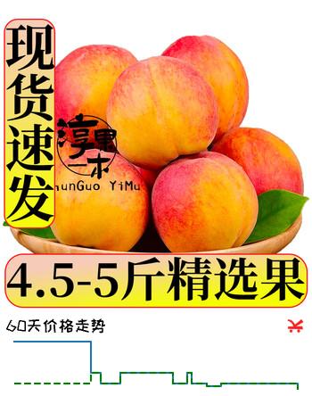 淳果一木 新鲜黄桃 黄毛桃子彩虹黄桃水黄金桃蜜子桃 当季应季水果 精选果 5斤（净重4.5-5斤）
