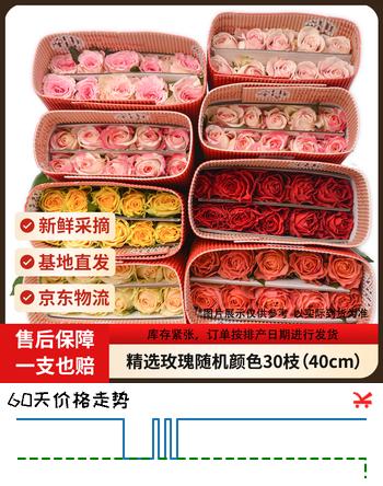 【5折】京东鲜花随机色系玫瑰30枝40cm2-3配色山东新鲜现采送礼物悦己源头直发https://u.jd.com/k1hVCaM----普遍有货 | 下2件最优到手单价：18.9 -> 【11.3】