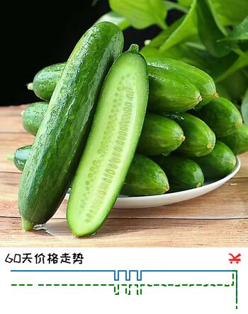 京鲜生山东精品嫩水果黄瓜 净1.6斤单果70g左右 水嫩精选幼瓜 源头直发