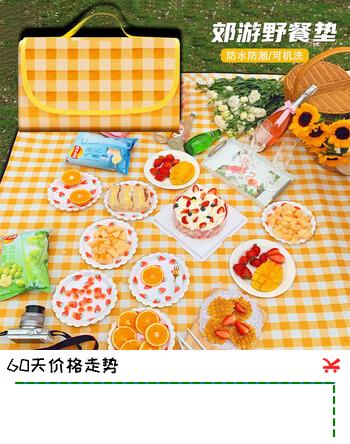 洋臣清洁用具非一次性野餐垫便携可折叠家庭款 【1.5*2.0米】单件装【格子颜色随机发货】
