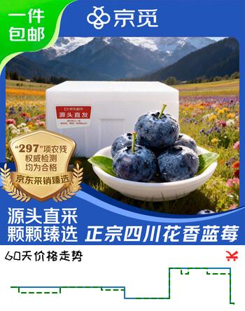 京觅四川高山花香蓝莓 12盒装 100g/盒 单果18mm+ 生鲜源头直发包邮
