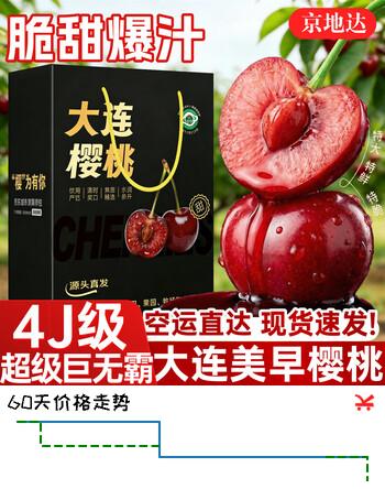 京地达大连美早大樱桃国产车厘子端午节水果礼盒空运4J级3斤源头直发