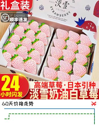 酷友淡雪白草莓【空运次日达】日本品种天使白雪公主粉色草莓礼盒装 500g小果（白色两盒40颗装）
