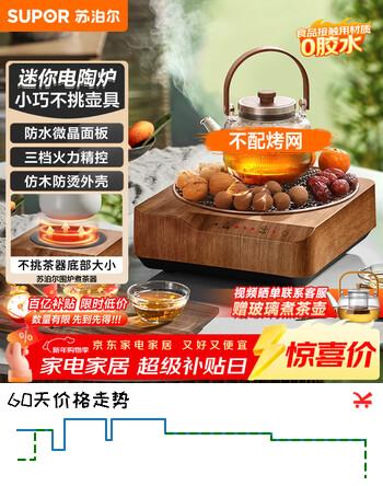 苏泊尔（SUPOR）迷你电陶炉煮茶器茶艺炉围炉煮茶办公室家用养生煮茶炉蒸茶器不挑器具SW-DTL03
