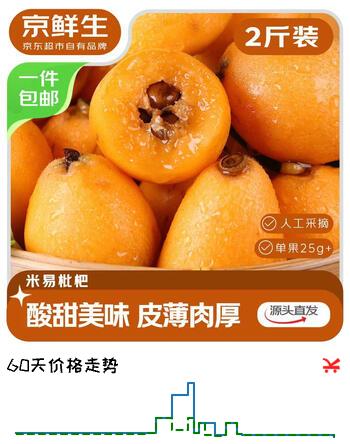 京鲜生 四川米易枇杷 2斤装 单果25g+ 新鲜水果 源头直发包邮