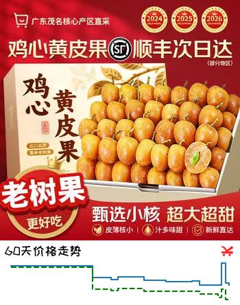 山姆大叔广东鸡心黄皮果【JD顺丰-多地次日达】茂名新鲜黄皮端午水果礼盒 3斤装【超值推荐-80%选择】净重2斤 7A精挑果【保温箱+冰袋】