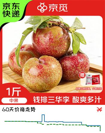 京觅广东茂名钱排三华李中果净重1斤 单果30g+酸脆李子水果源头直发