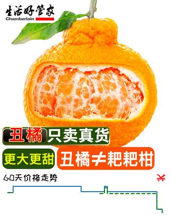 生活＆好管家四川不知火丑橘新鲜水果桔橘子丑柑丑八怪柑橘 9-10斤【家庭装】净重8.5斤 果径85mm+【特大果】