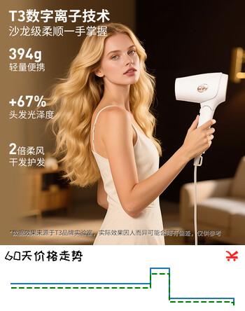 T3美国热销 compact 便携吹风机 可折叠电吹风 冷风锁定 家用 出差 旅行 节日礼物（赠转化插头）