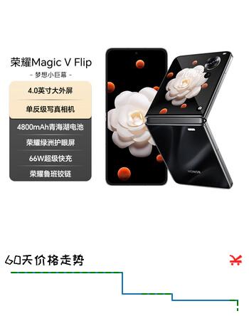 荣耀Magic V Flip 新款小折叠屏 4.0英寸大外屏 单反级写真相机 12+1TB 鸢尾黑 国家补贴 5G AI手机