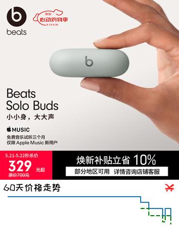 beats Solo Buds 真无线耳机【520礼物】 蓝牙耳机  适用华为苹果手机  风云灰